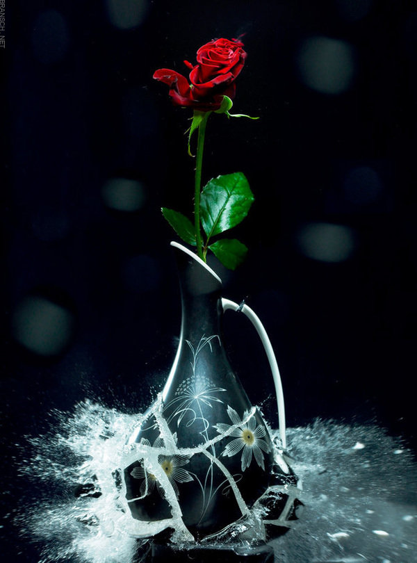 роза в вазе - оригинал