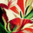 Предпросмотр схемы вышивки «Тюльпаны» (№875327)