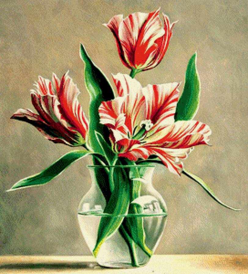 Тюльпаны - букет, цветы - предпросмотр