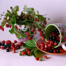 Схема вышивки «Ягодное лето»