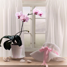 Схема вышивки «орхидея»