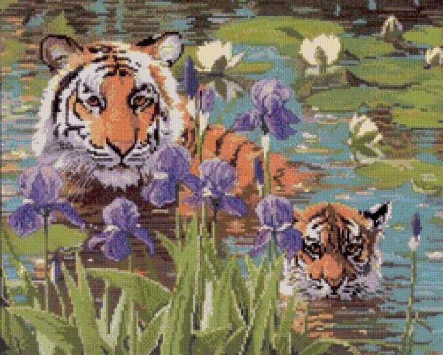 тигрица с тигренком - вода, берег, игра, тигр, хищник - предпросмотр