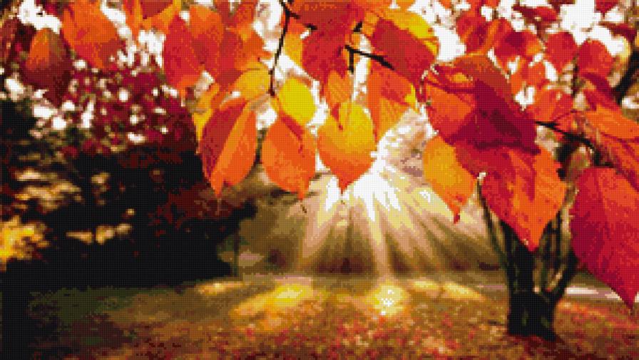 Осень - осень - предпросмотр