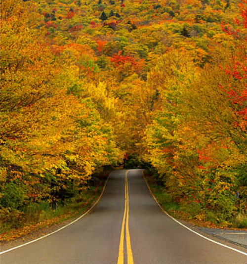 Тоннель - осень - оригинал