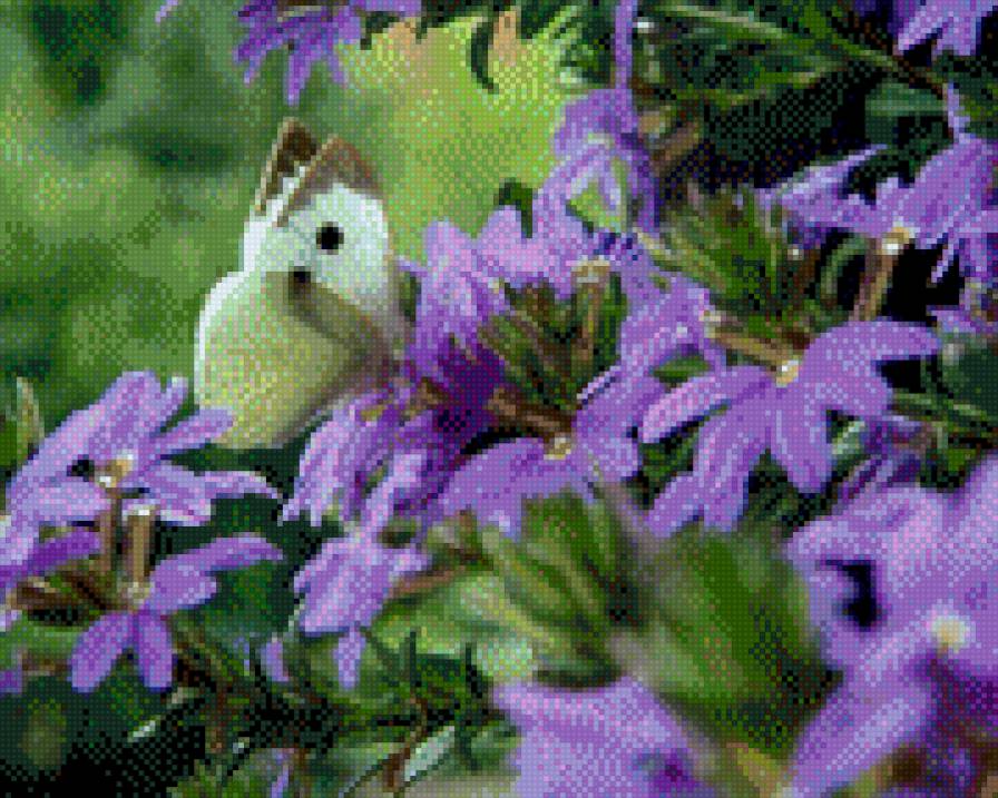 Бабочка - луг, цветы, бабочка - предпросмотр