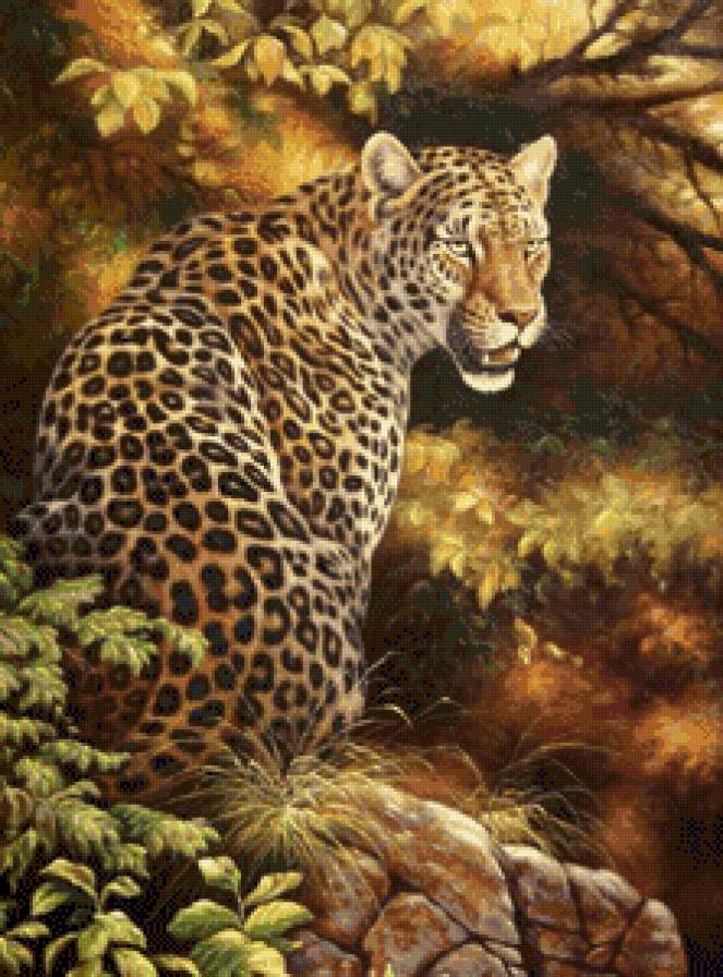 Дикие животные - природа, животные, дикие кошки - предпросмотр