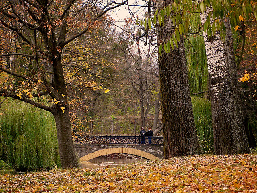 осенний парк - осень, парк - оригинал
