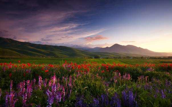 пейзаж - пейзаж - оригинал