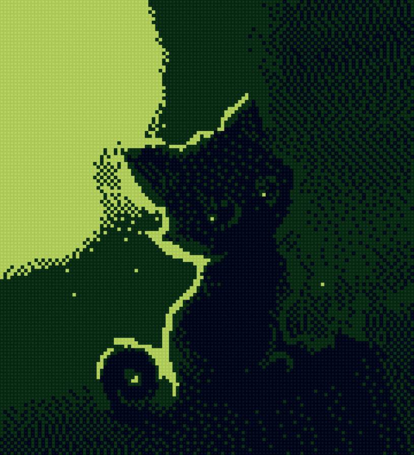 Котик - животные - предпросмотр