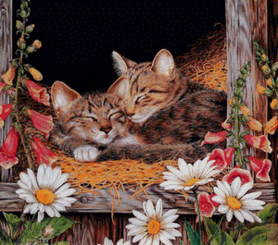 серия ,,кошки" - животные.котики.цветы.ромашки - предпросмотр