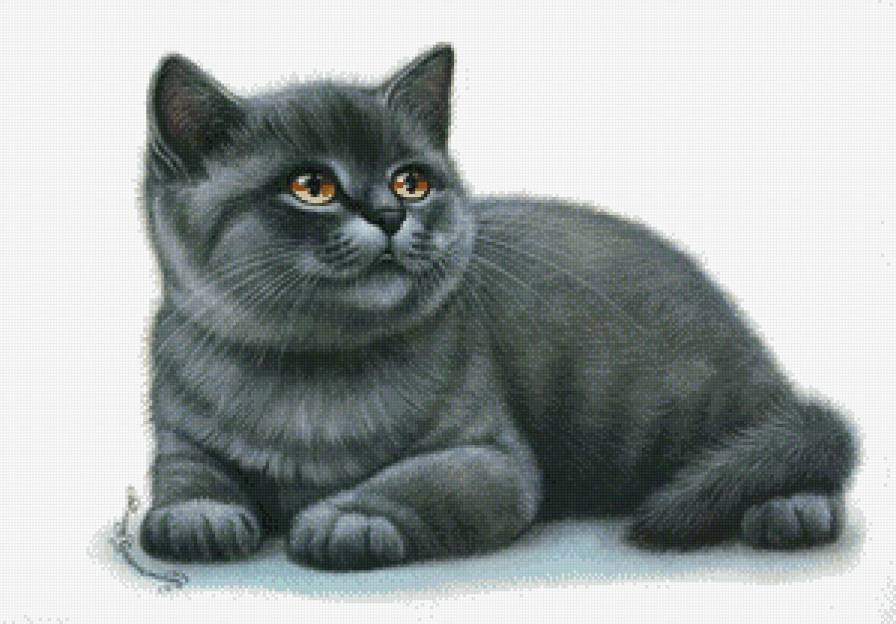 серия ,,кошки" - животные.кошка. - предпросмотр