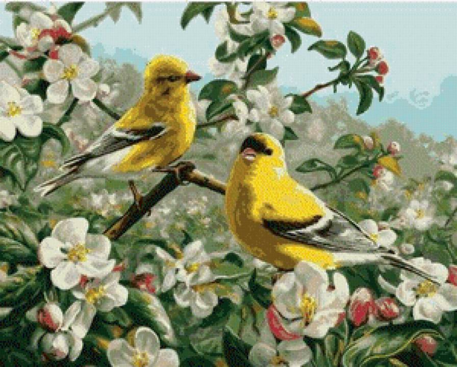 весна - птицы, яблоня, цветы - предпросмотр