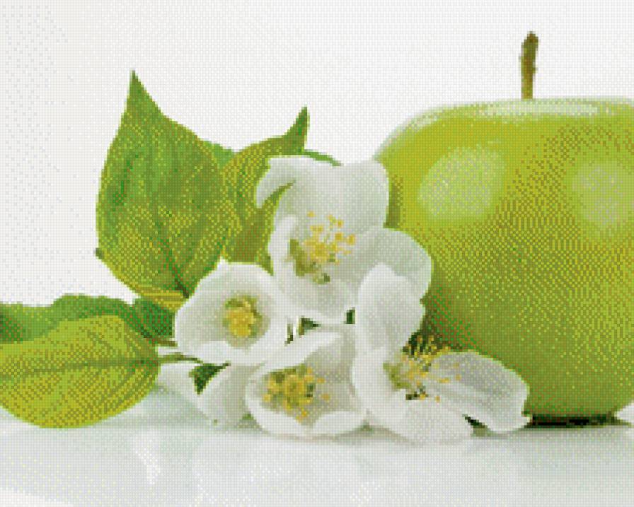 Жасмин - предпросмотр