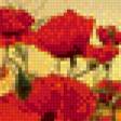 Предпросмотр схемы вышивки «маки» (№876291)