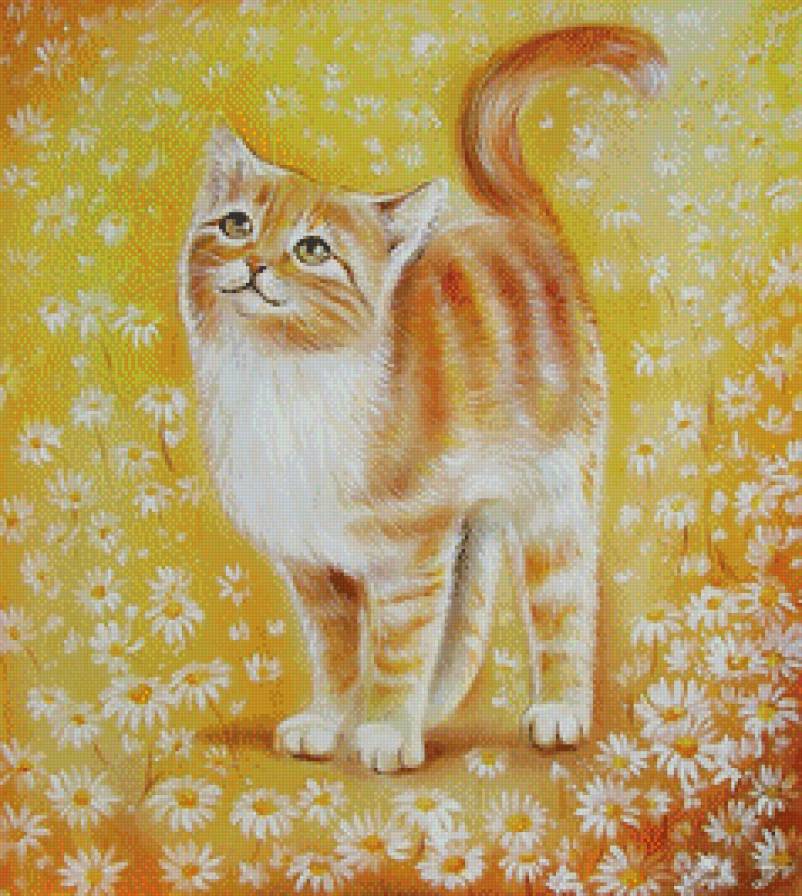 солнечный кот - коты - предпросмотр