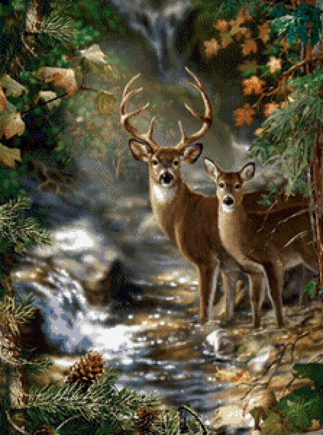 Олени - предпросмотр