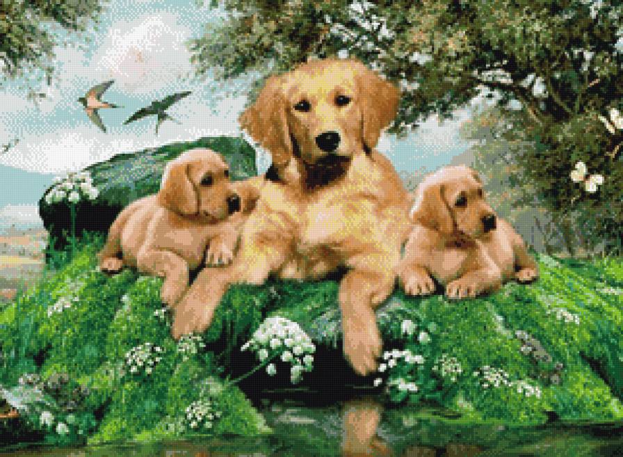 собачки - предпросмотр