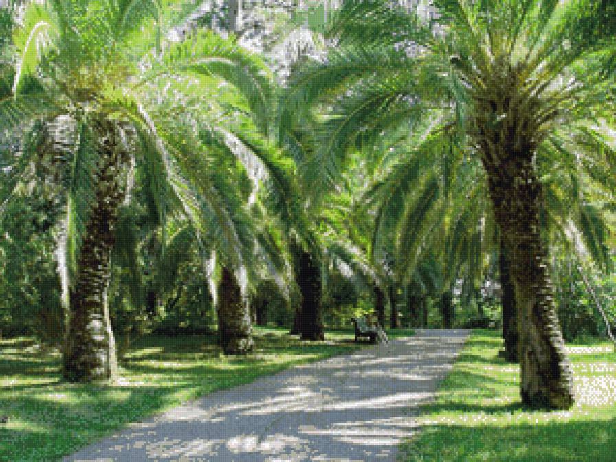 Аллея - аллея, парк - предпросмотр