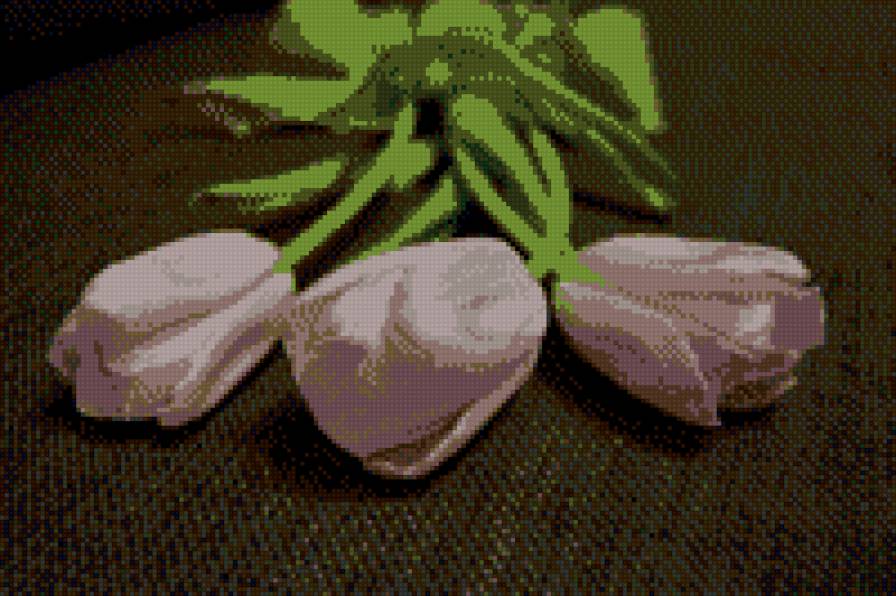 Букет - макро, красота, флора, природа - предпросмотр