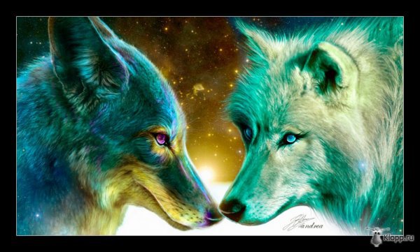 волки - схема, волки - оригинал