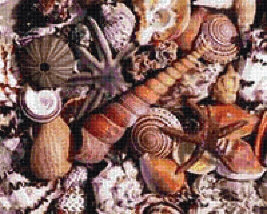 ракушки - ракушки, пляж, прибой, море, лето - предпросмотр