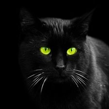 Схема вышивки «Кошка черная»
