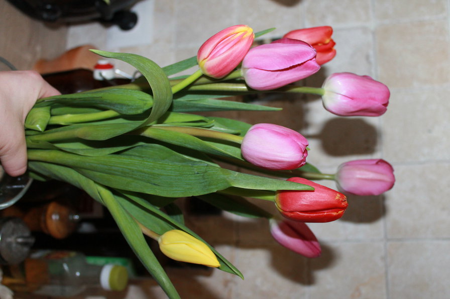 8 марта - тюльпаны, букет - оригинал