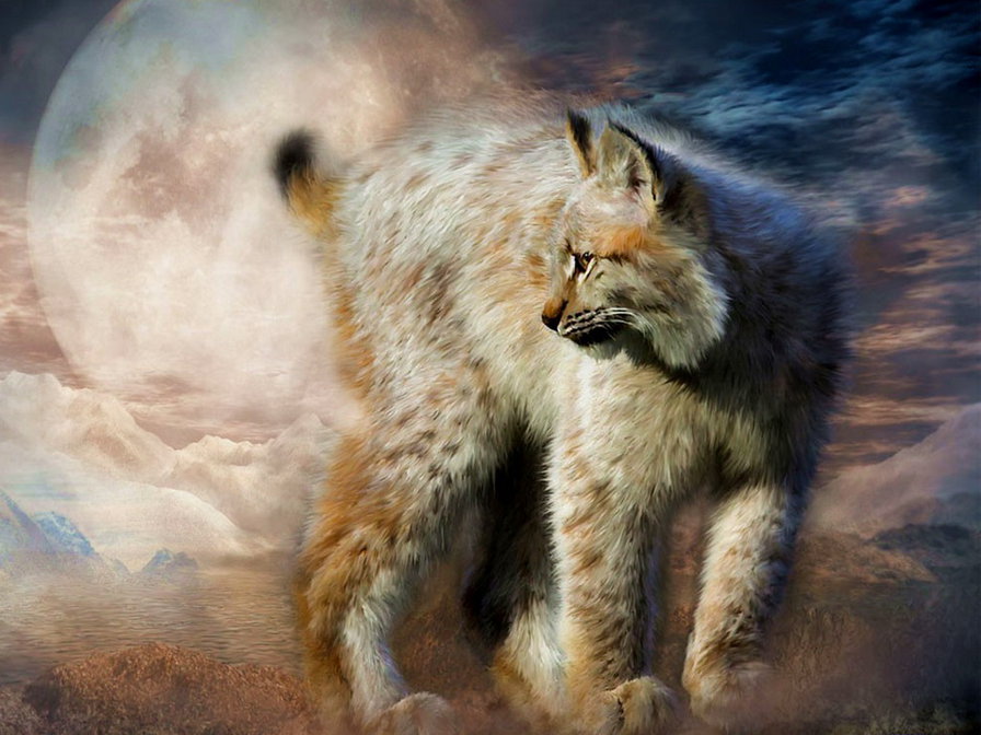 рысь - рысь кошки фентези - оригинал