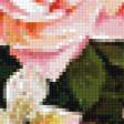 Предпросмотр схемы вышивки «букет» (№878011)