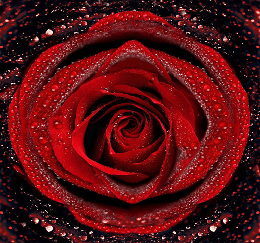 подушка5 - оригинал