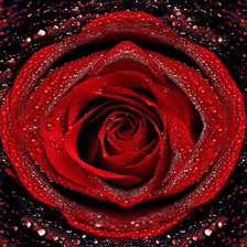 Схема вышивки «подушка5»