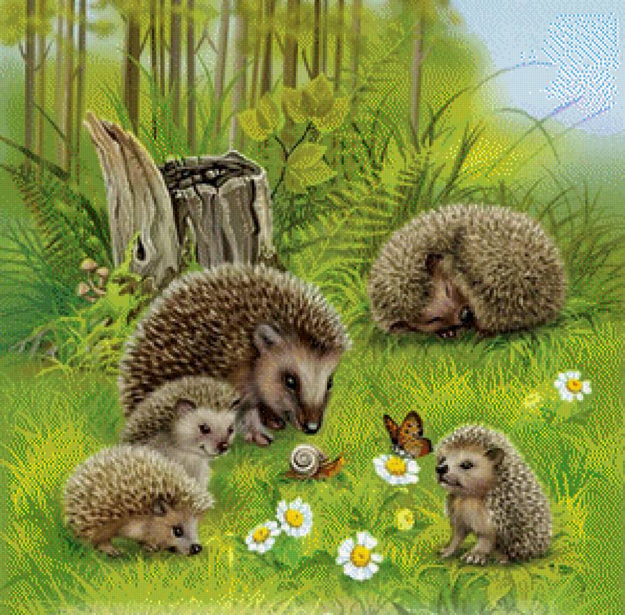 ежики - еж - предпросмотр