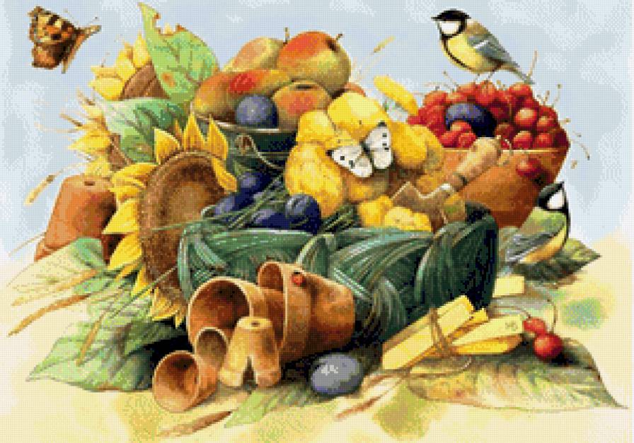 птицы - птицы - предпросмотр