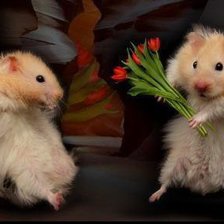 Схема вышивки «хомяки влюблённые»