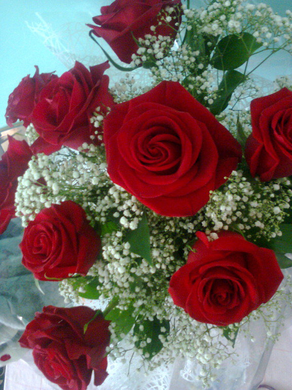 розовые розы - розы, цветы - оригинал