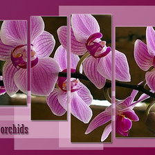 Оригинал схемы вышивки «орхидеи» (№878951)