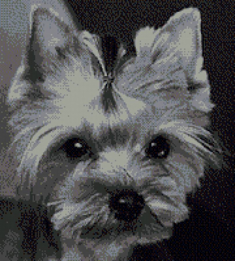 Кузя - животные, монохром - предпросмотр