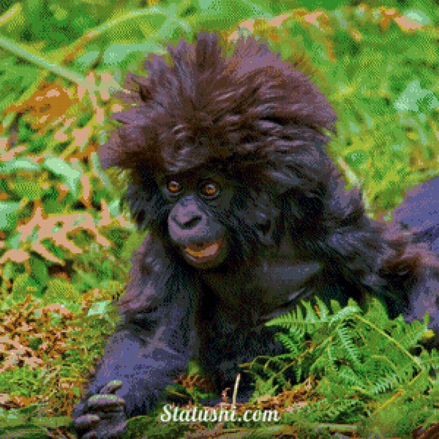 обезьяна - лохматая - предпросмотр