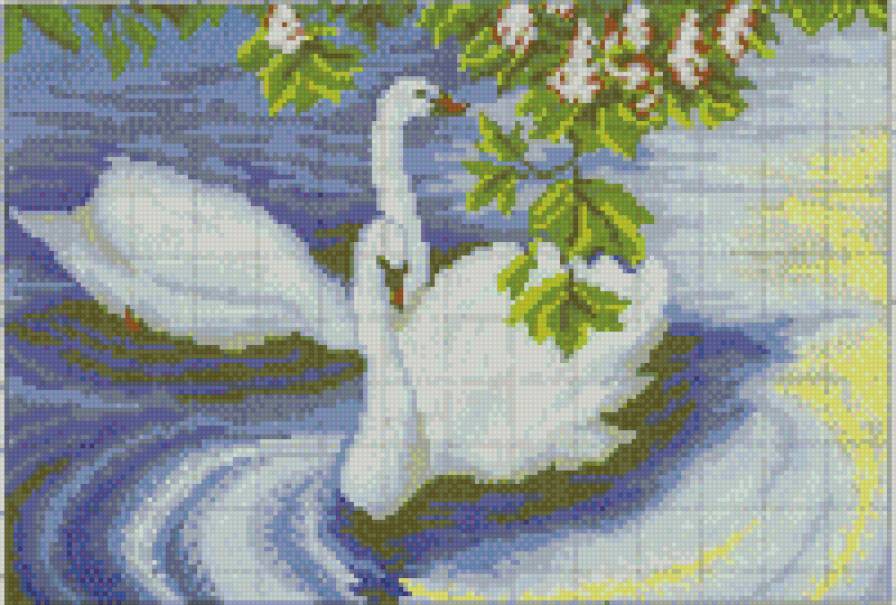 пара - предпросмотр