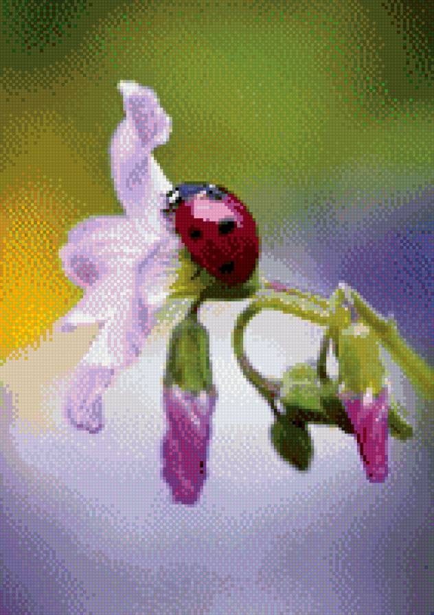 Божья коровка - предпросмотр