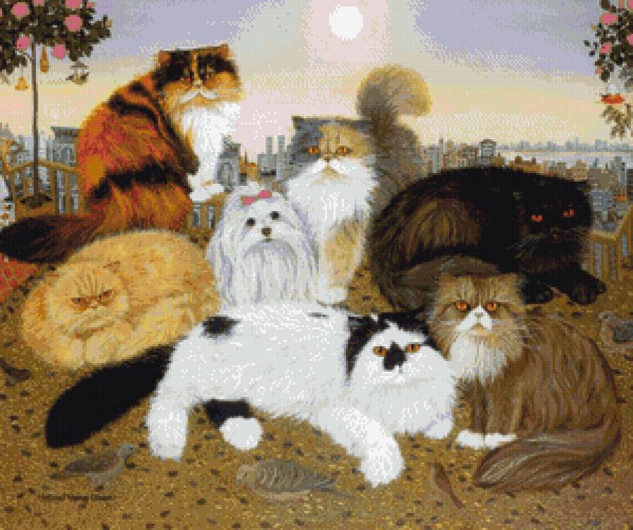 собрание - котики, коты - предпросмотр