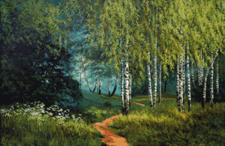 Тропинка средь берез - лес, пейзаж, береза, природа - предпросмотр