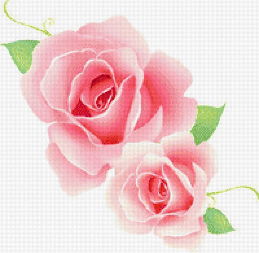 розовая роза - любовь, роза - предпросмотр