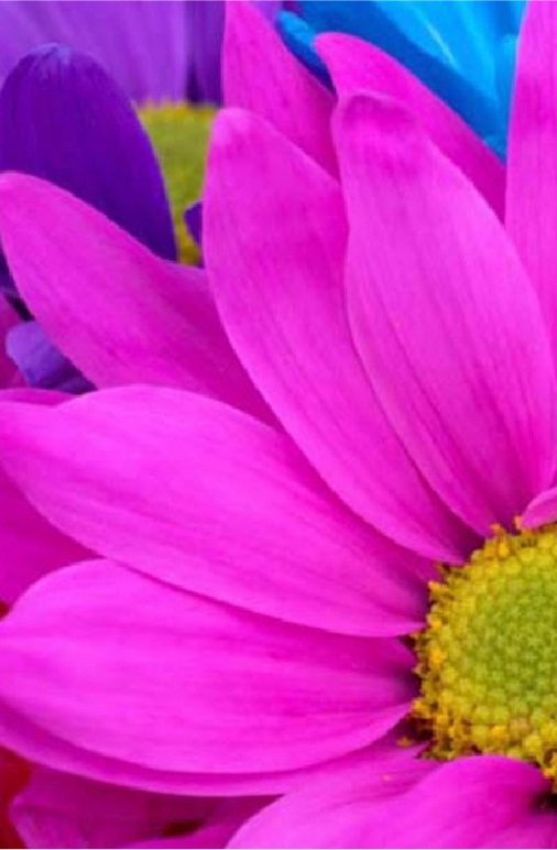 Цветы. Часть 1 - триптих - оригинал