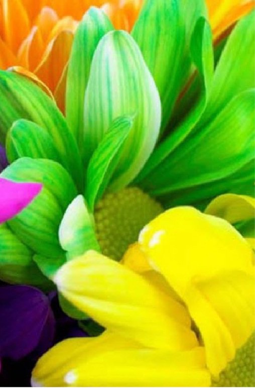 Цветы. Часть 3 - триптих - оригинал