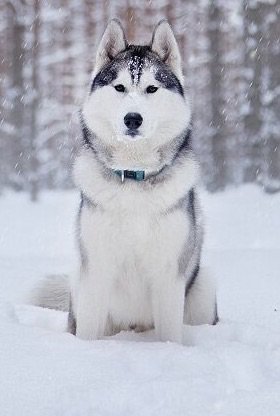 №880046 - оригинал