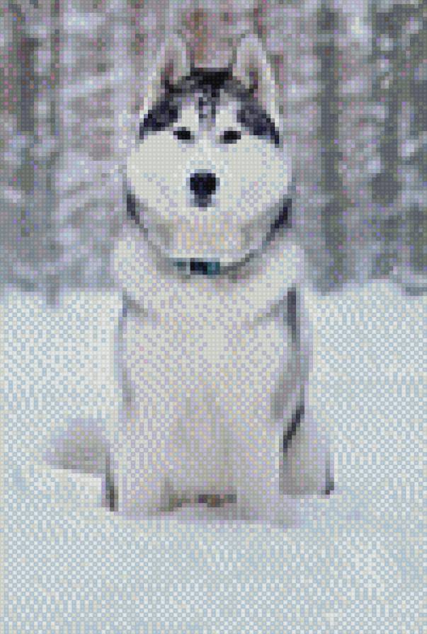 №880046 - предпросмотр