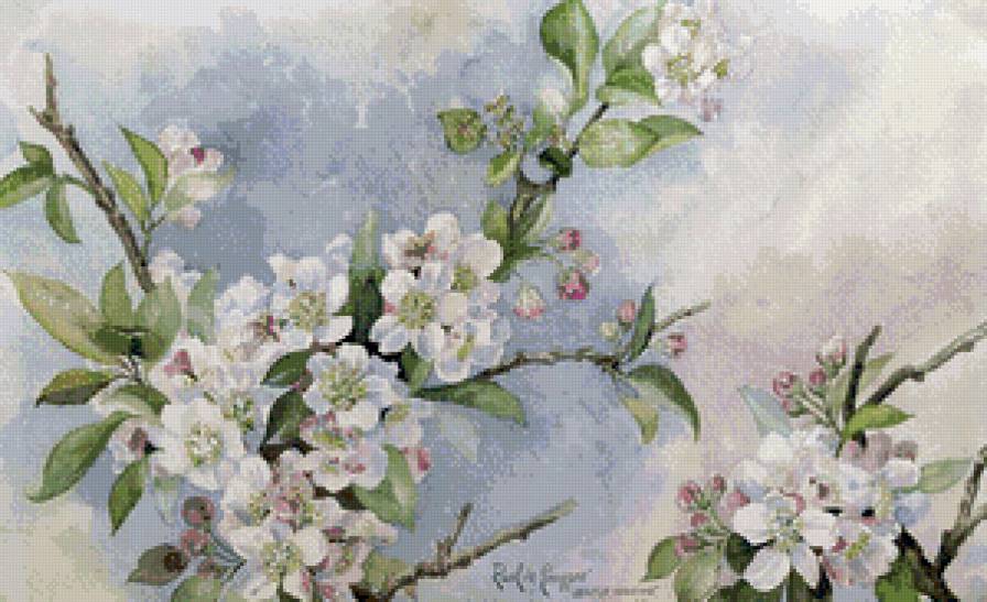 вишнёвый цвет - весна, вишня, цветы, нежность, ветка - предпросмотр