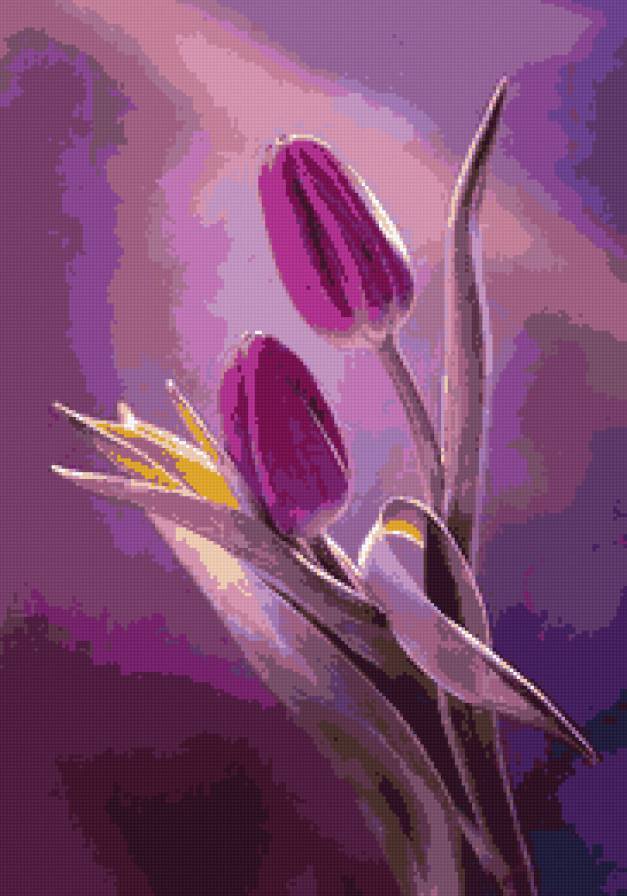 Тюльпаны - тюльпаны, цветы - предпросмотр