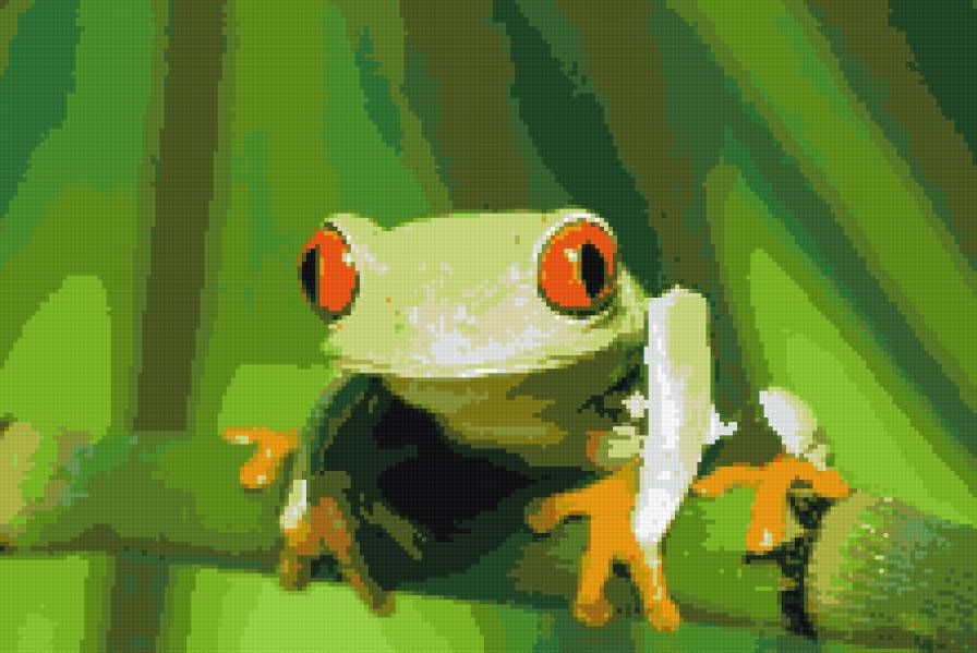 Лягушка - лягушка - предпросмотр